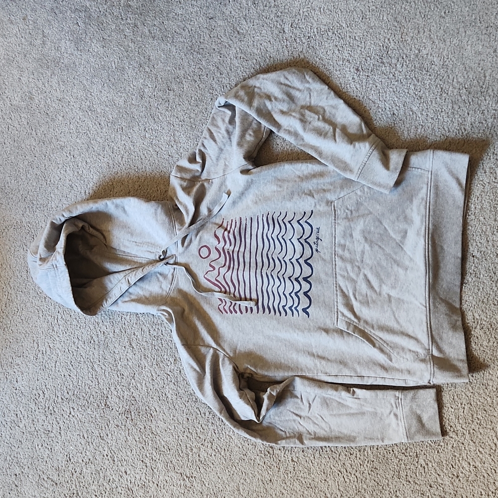 Patagonia Hoodie